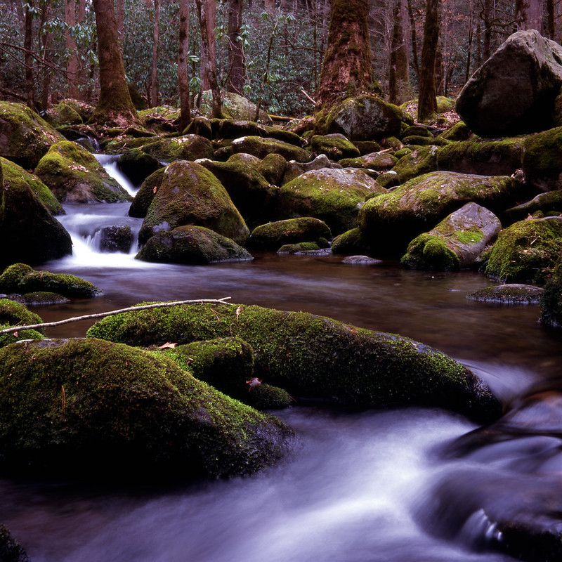 mossy cascade